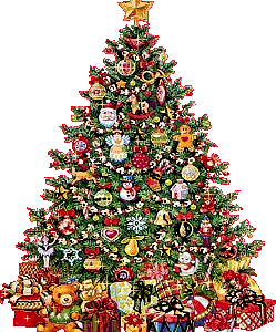 ‘Feliz 2015 – Happy New Year’